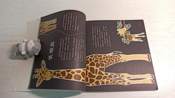 一本既能學知識,又能做手工的兒童動物書 一本既能學知識,又能做手工的兒童動物書