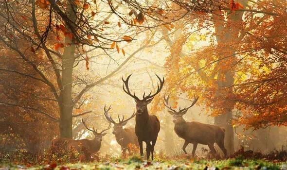 英國的秋季美不勝收