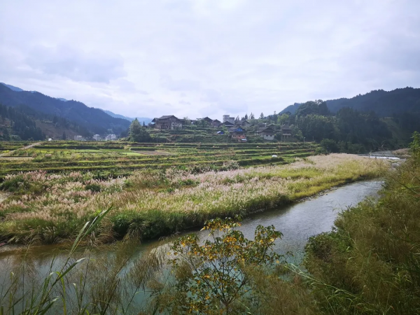 牛耕部落尋訪記