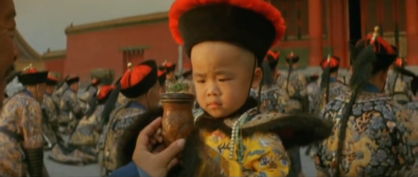 一年賣掉3000只狐狸，貓狗已經滿足不了95後的“野心”