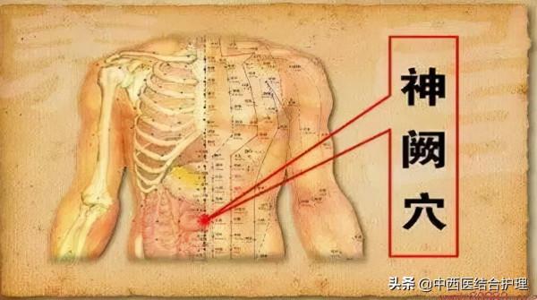 「中醫養生科普」低頭看看肚臍,都出現了什麼特徵,又代表了什麼? 「中醫養生科普」低頭看看肚臍,都出現了什麼特徵,又代表了什麼?