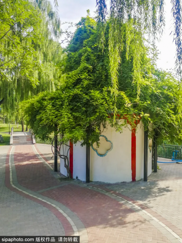 免費！這些公園低調卻各有特色，還有綠皮火車！