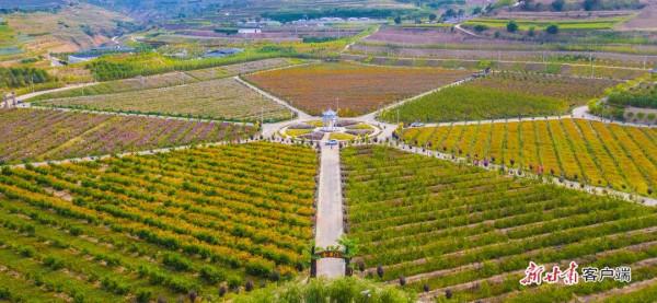 看！2500萬人的豐收圖景