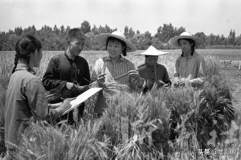 泰安市六七十年代老照片 泰安市六七十年代老照片