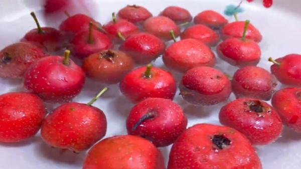 中秋節來臨,這8種“秋果”要多吃,一家人團圓必備,潤肺降秋燥 中秋節來臨,這8種“秋果”要多吃,一家人團圓必備,潤肺降秋燥