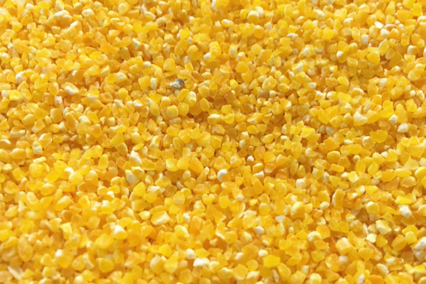 網傳：斷食2天可以重啟人體免疫系統，這說法靠譜嗎？告訴你真相