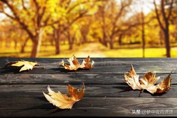 此心安處是吾鄉，白羊座