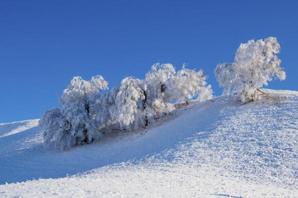 大美新疆，人間天堂