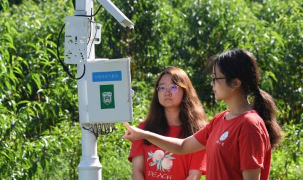 開學才不久,海南女生從山東大學退學,00後的任性叫人不理解 開學才不久,海南女生從山東大學退學,00後的任性叫人不理解