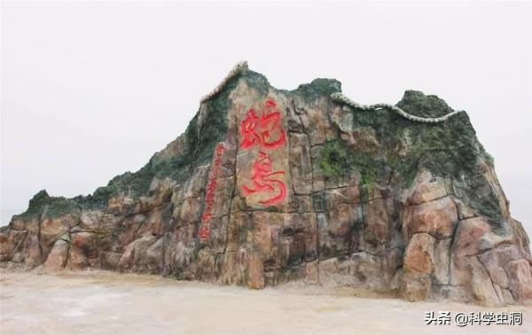 大連蛇島瘋狂“內卷”,一平方公里2萬多條蛇,島上的蛇越來越毒 大連蛇島瘋狂“內卷”,一平方公里2萬多條蛇,島上的蛇越來越毒