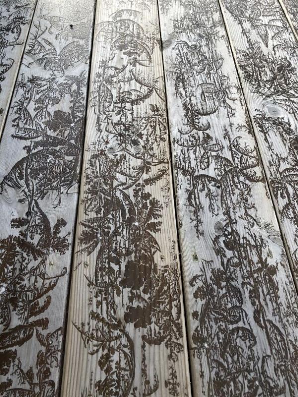 30個巧合圖片,奧特曼快來這裡有怪獸,鴨子居然和哈士奇結合了 30個巧合圖片,奧特曼快來這裡有怪獸,鴨子居然和哈士奇結合了