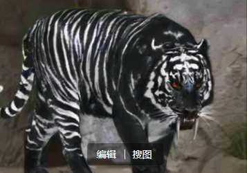 神秘世界還的探索，想解開還得靠科學解決