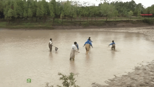 孩子講不聽,佛系媽媽也跳腳?「教」孩子聽話,第一步就錯了 孩子講不聽,佛系媽媽也跳腳?「教」孩子聽話,第一步就錯了