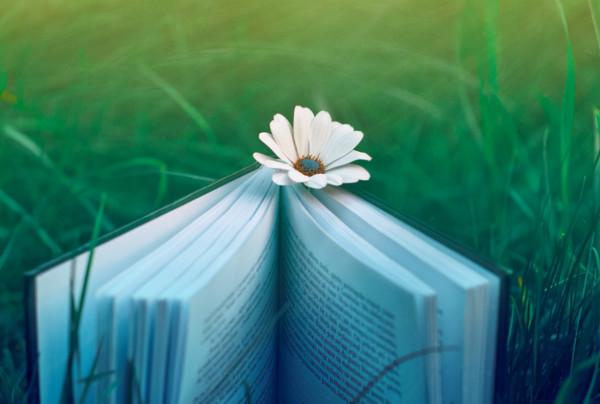 心理學:情商不高的人什麼樣,這10個高情商“特徵”,你有幾個 心理學:情商不高的人什麼樣,這10個高情商“特徵”,你有幾個