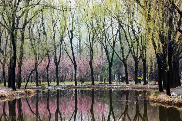 美景的初戀 美景的初戀