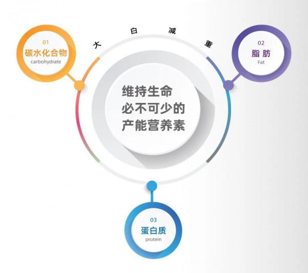 長胖,到底跟哪些營養素有關? 長胖,到底跟哪些營養素有關?