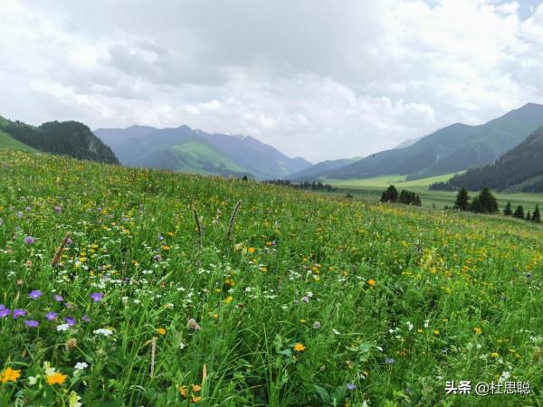 漢EV自駕新疆伊犁，風景如畫的百里畫廊，待小半個月不過分