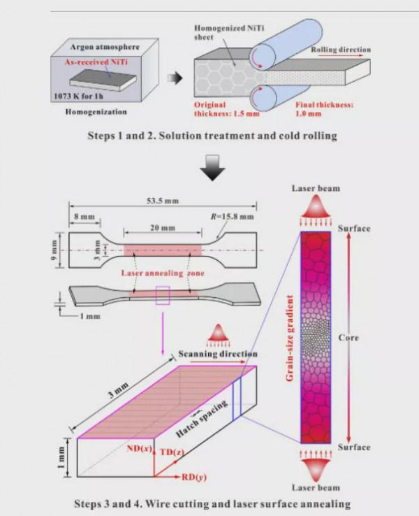 清華大學：透過梯度結構提高NiTi合金的力學效能和彈性熱效應