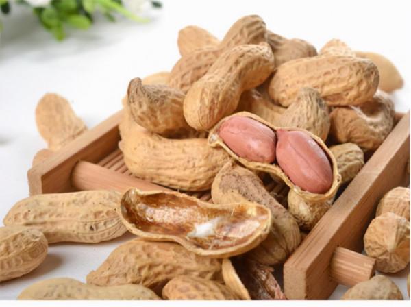 痰在肺則咳，痰在胃則嘔，五種痰症的表現和治療你需要知道