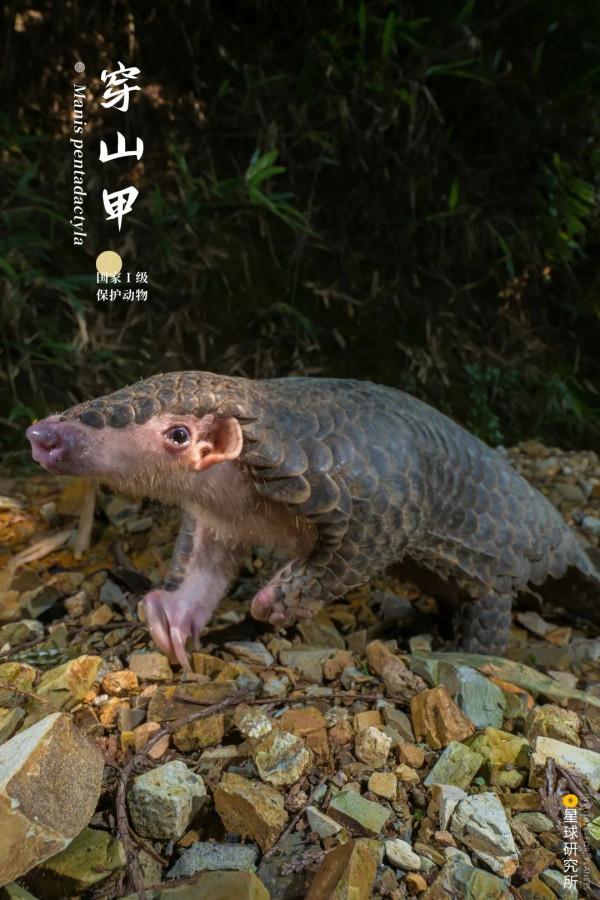 出發！看中國五大國家公園