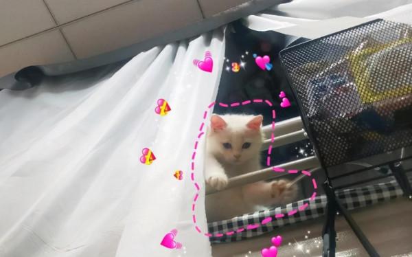 女大學生宿舍出現“禁用物品”?還可以下廚,男生:比我們還會玩 女大學生宿舍出現“禁用物品”?還可以下廚,男生:比我們還會玩