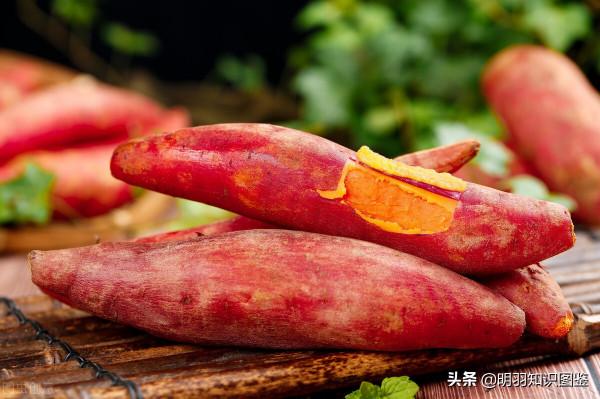 雲南的30個冷知識,你確定都知道嗎? 雲南的30個冷知識,你確定都知道嗎?