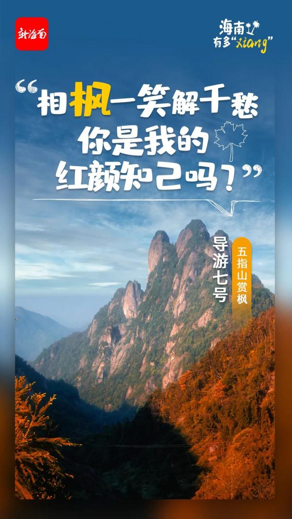 海南寶藏“導遊”集體出鏡!元旦就要去一些可可愛愛的地方…… 海南寶藏“導遊”集體出鏡!元旦就要去一些可可愛愛的地方……