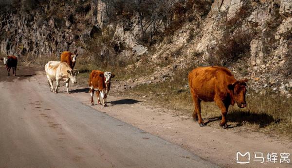 三天三季-我的烏蘭布統之旅 第三篇