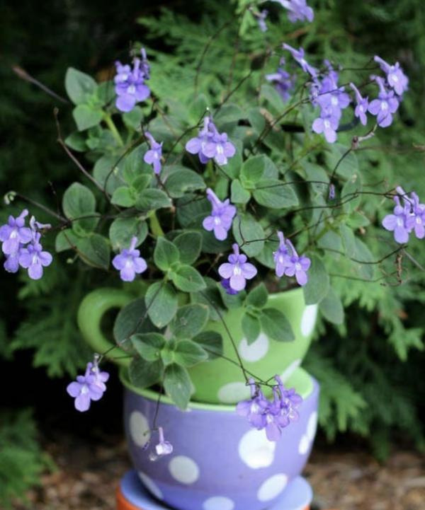 30種與眾不同的花園,水壺、舊靴子、爛門框,全部都可以種花 30種與眾不同的花園,水壺、舊靴子、爛門框,全部都可以種花