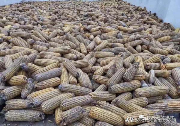 料肉比如何從3.5：1到2.8：1？