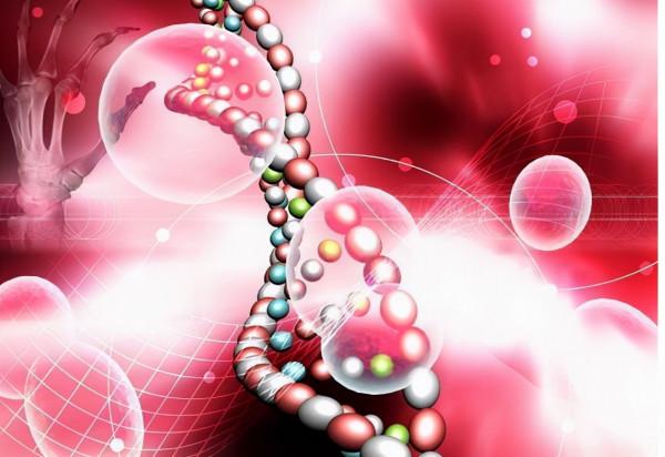 貧血吃什麼補血最快？