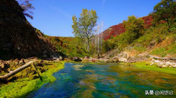 本想獨擁一山紅葉,無意中卻發現汝州大峪火石溝一處山水秘境 本想獨擁一山紅葉,無意中卻發現汝州大峪火石溝一處山水秘境