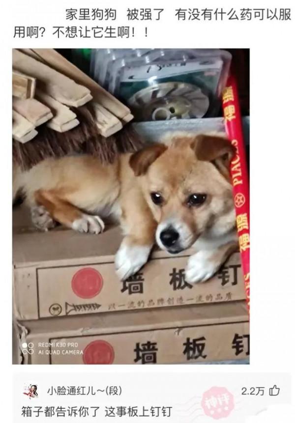 神回覆：我肯定選51歲的，這就是格局，這就叫做有遠見