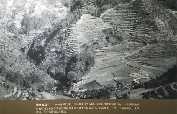 劉英與泰順的革命情緣，閩浙邊三年游擊戰爭彪炳史冊