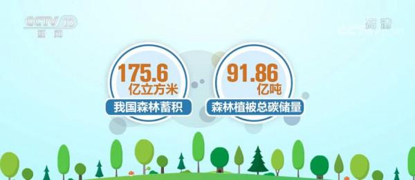 「共赴春城之約」科普 | 碳匯：用生態手段減少溫室氣體濃度