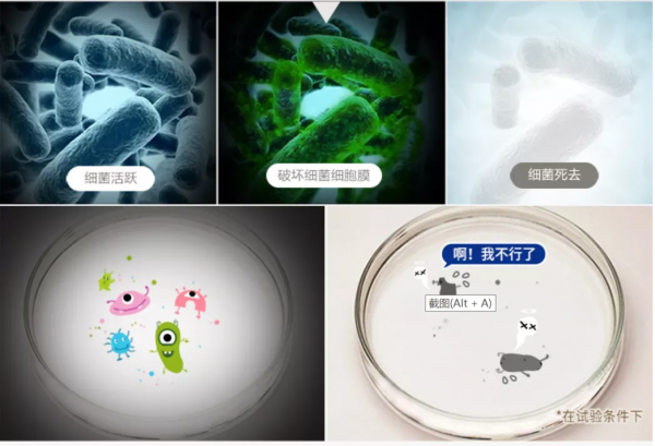 家電:從材料上實現防範病菌?怎麼做到的? 家電:從材料上實現防範病菌?怎麼做到的?