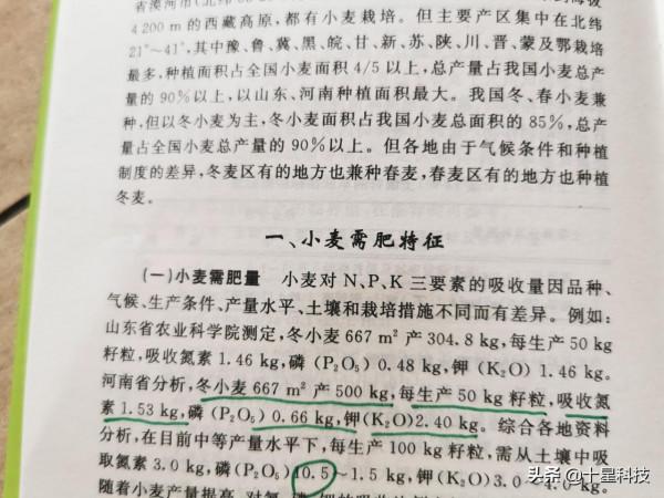 小麥品種:只吹噓高產,卻不說施肥量,都是騙子“耍流氓” 小麥品種:只吹噓高產,卻不說施肥量,都是騙子“耍流氓”