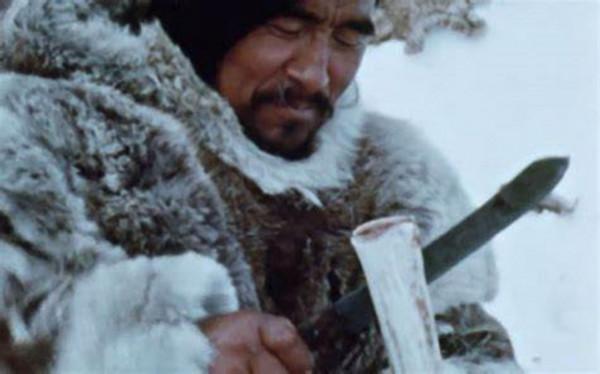 愛斯基摩人為啥幾乎一輩子吃生肉？“基因變異”還是另有原因？