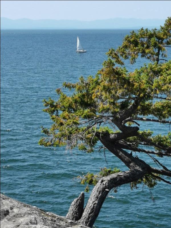 關於二手店和一副麻將 關於二手店和一副麻將