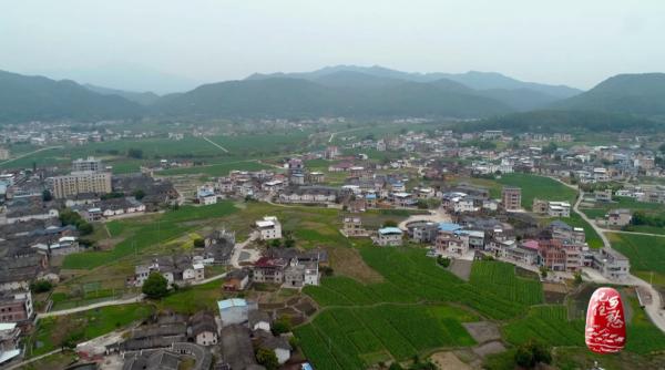 客自北方來，駐足在梅城