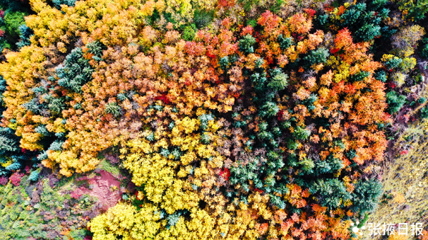 秋染祁連山，馬蹄寺景區五彩斑斕美不勝收