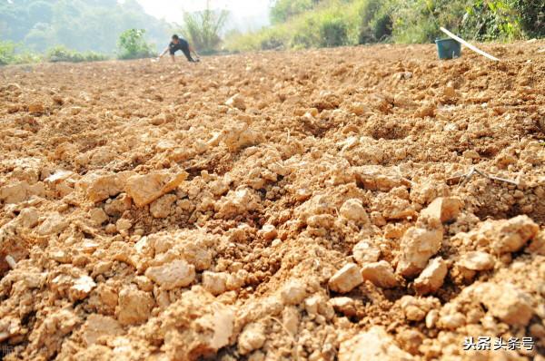 天氣預報:今年冬天乾旱嗎?就看九月初九天氣,看看老祖宗怎麼說 天氣預報:今年冬天乾旱嗎?就看九月初九天氣,看看老祖宗怎麼說