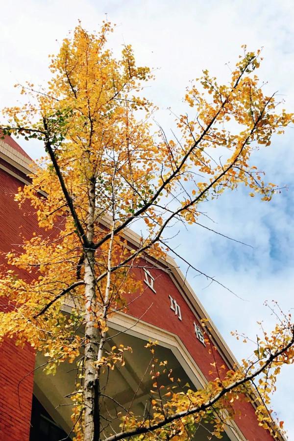 美麗的湖南科技大學