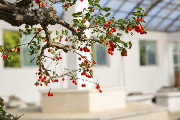 二手房有價無市，價格為什麼這麼堅挺？