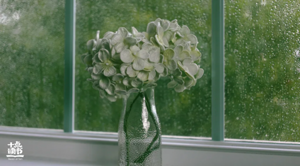 好好說話,可以改變命運 好好說話,可以改變命運