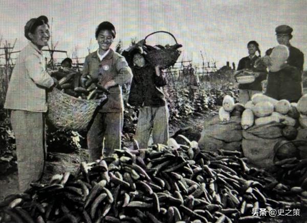 1976年，知青返城高潮，她在北大荒嫁給了啞巴，母親：就你不回來