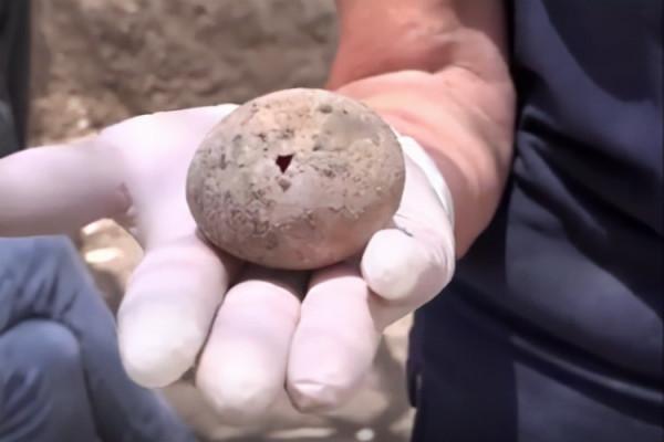 買雞蛋,挑“紅殼”還是“白殼”?弄懂再買,便宜也能買到好雞蛋 買雞蛋,挑“紅殼”還是“白殼”?弄懂再買,便宜也能買到好雞蛋