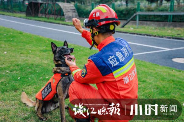從全國倒數到一鳴驚人“60歲”搜救犬最後一賽勇奪亞軍