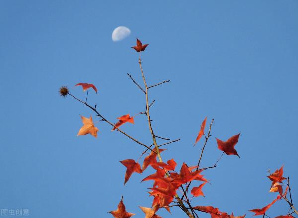 雅稱、代稱、它稱、別稱彙總(七) 雅稱、代稱、它稱、別稱彙總(七)