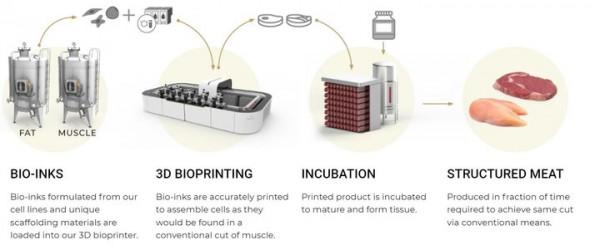 以色列團隊推出世界最大實驗室培育牛排,由真正的牛細胞 3D 列印 以色列團隊推出世界最大實驗室培育牛排,由真正的牛細胞 3D 列印